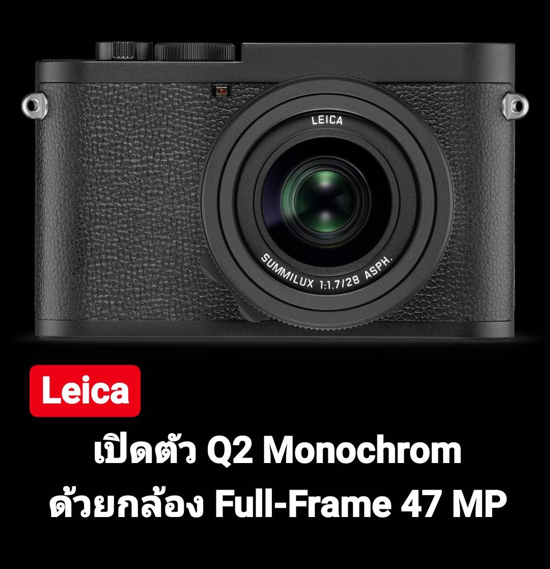 My Image 50