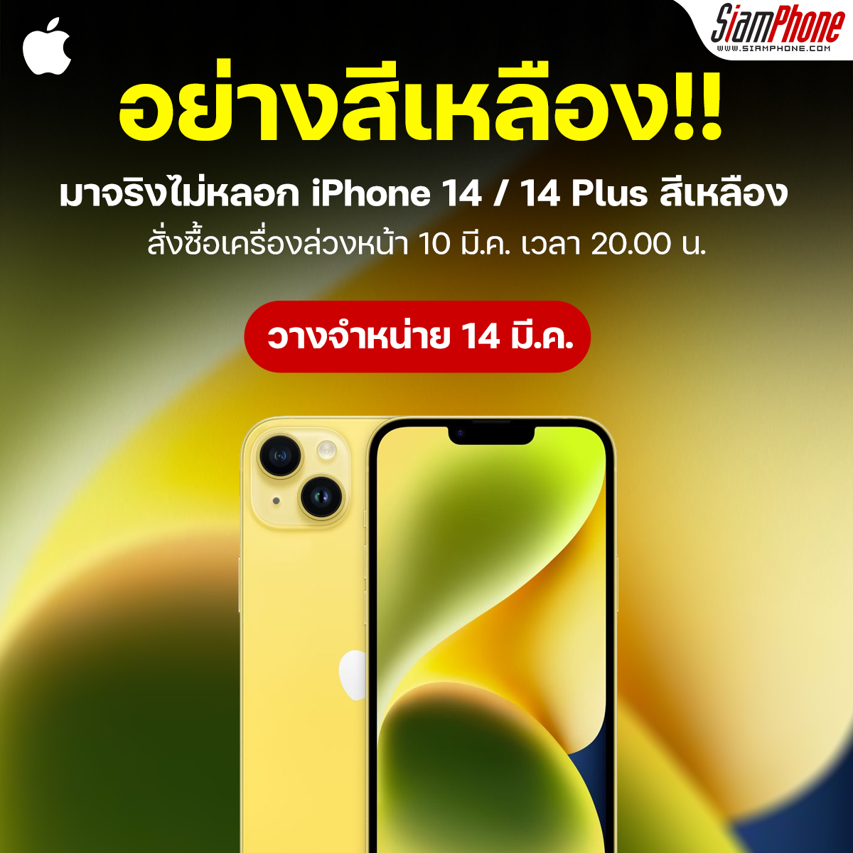 My Image 35